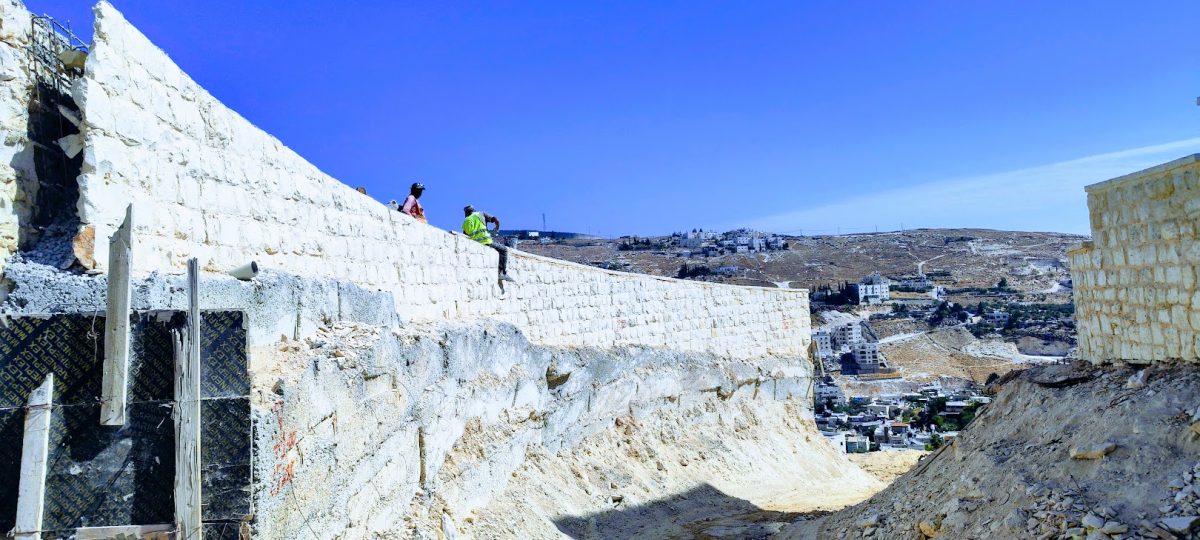 IMG_20241006_111016-EFFECTS